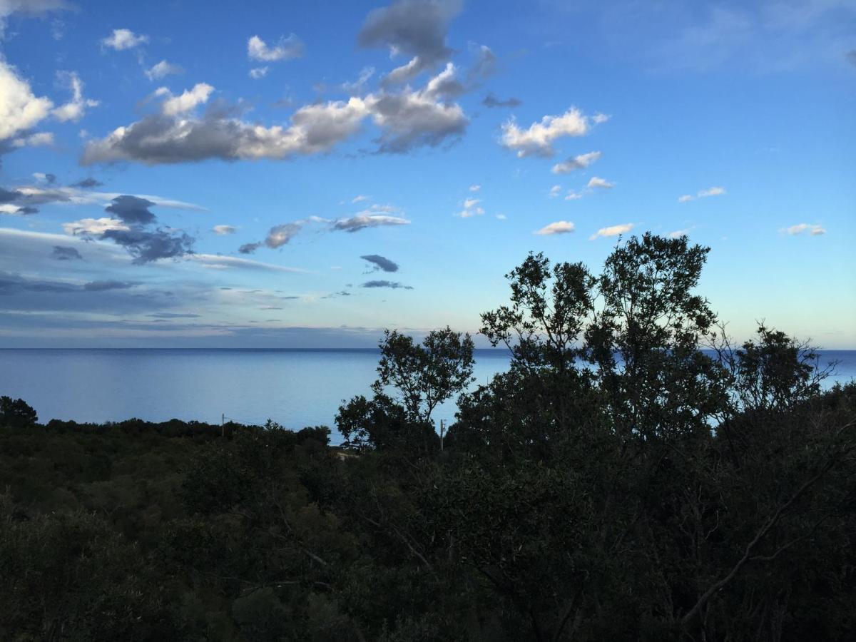 Villa L'Alpana En Bois Vue Mer A 180 Degres Sari-Solenzara Εξωτερικό φωτογραφία